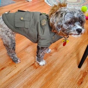 NWT Canada Pooch size 12 army green dog parka coat